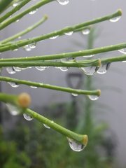 IMG_20210814_124646.jpg