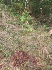 IMG_20210816_172307_1.jpg
