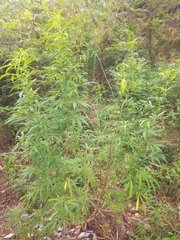 IMG_20210816_172916.jpg