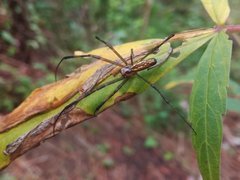 IMG_20210816_175550.jpg