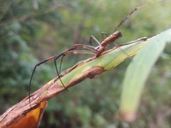 IMG_20210816_175603.jpg