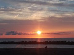 IMG_20210816_183303.jpg