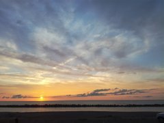 IMG_20210816_183512.jpg