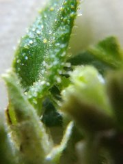 IMG_20210816_211324.jpg