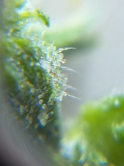 IMG_20210816_211832.jpg