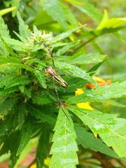 IMG_20210821_173408.jpg