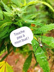 IMG_20210821_175133.jpg