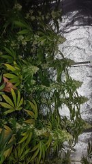 IMG_20210822_165719.jpg
