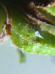 IMG_20210827_185341.jpg