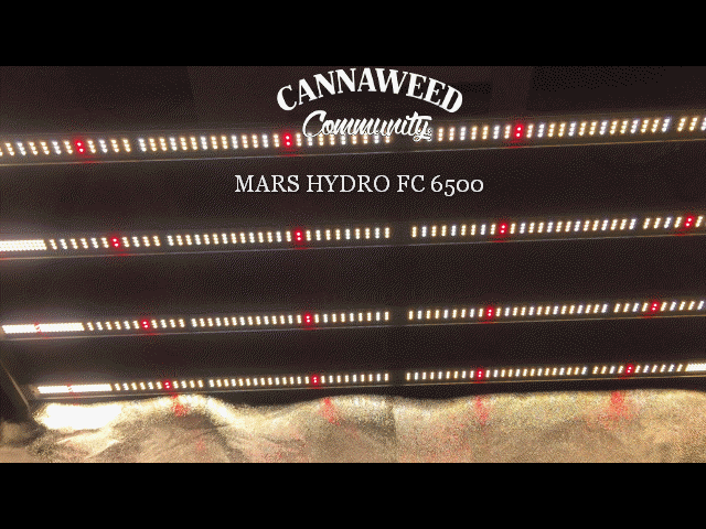 pres fc6500.GIF