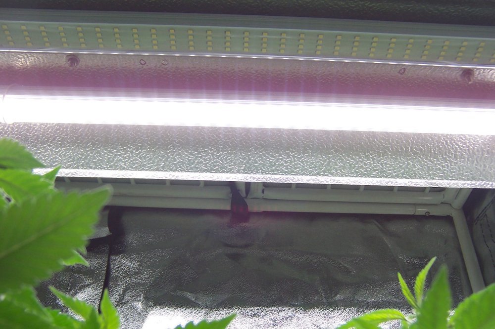100_2580.JPG