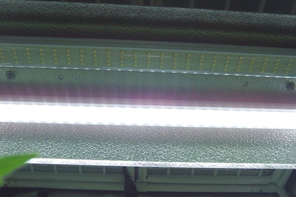 100_2583.JPG