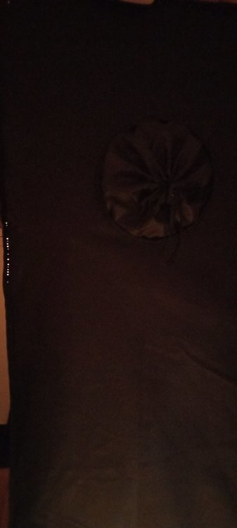20210904_144023.thumb.jpg.936633215ebd04ec5a0dcc7912dfacfd.jpg