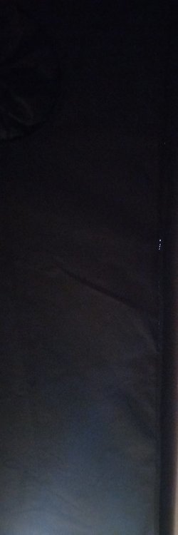 20210904_145139.thumb.jpg.b3ac083efe054fae3aa728a12144a7fa.jpg