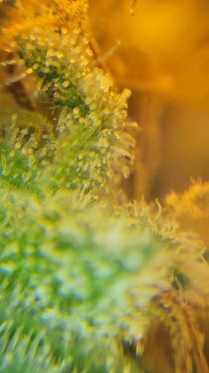 20210930_214743.jpg