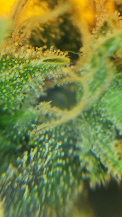 20210930_214854.jpg