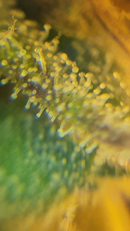 20210930_214954.jpg