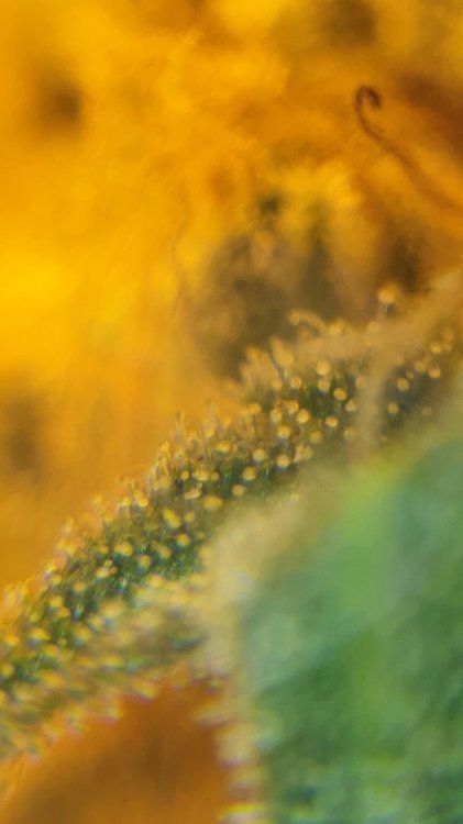 20210930_215045.jpg