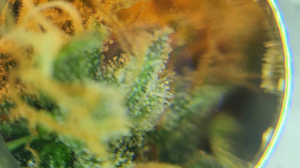 20210930_215141.jpg