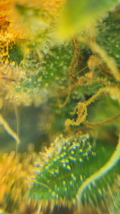 20210930_215831.jpg