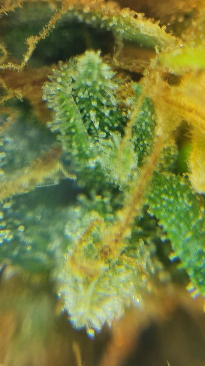 20210930_215859.jpg