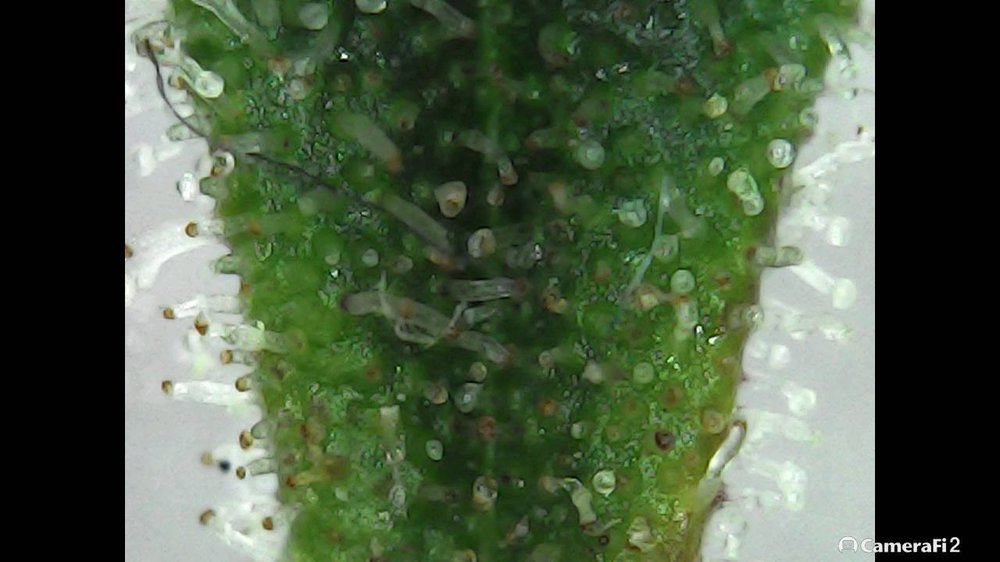 210913_113106.jpg