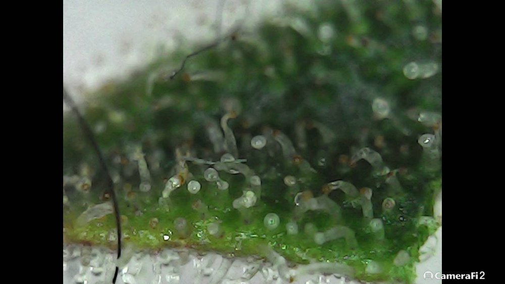 210913_113134.jpg