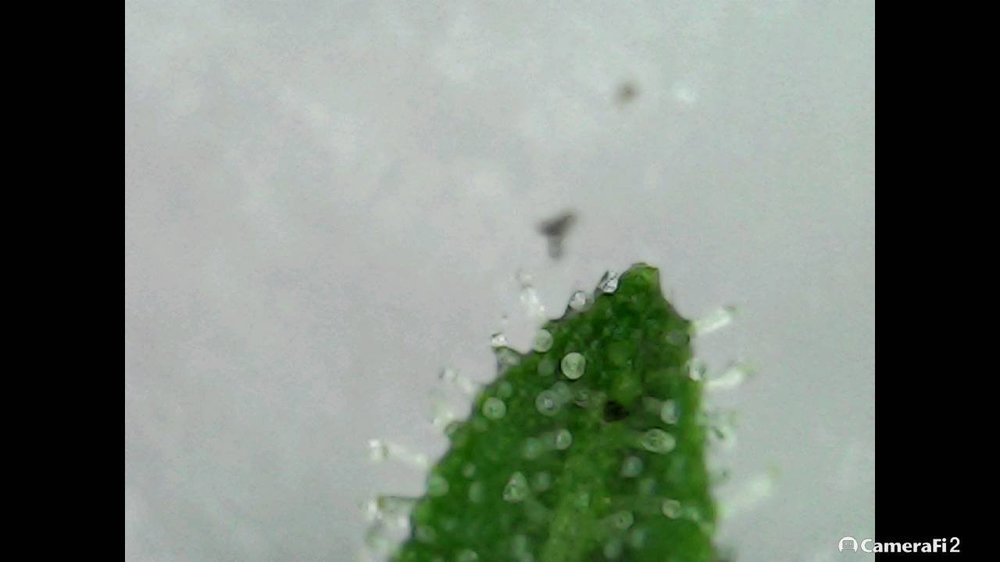 210913_113811.jpg