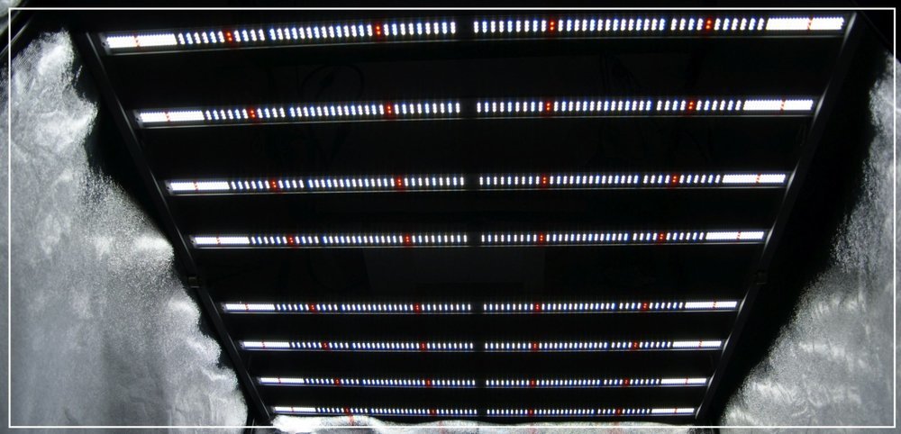allumé dessous FC6500.jpg