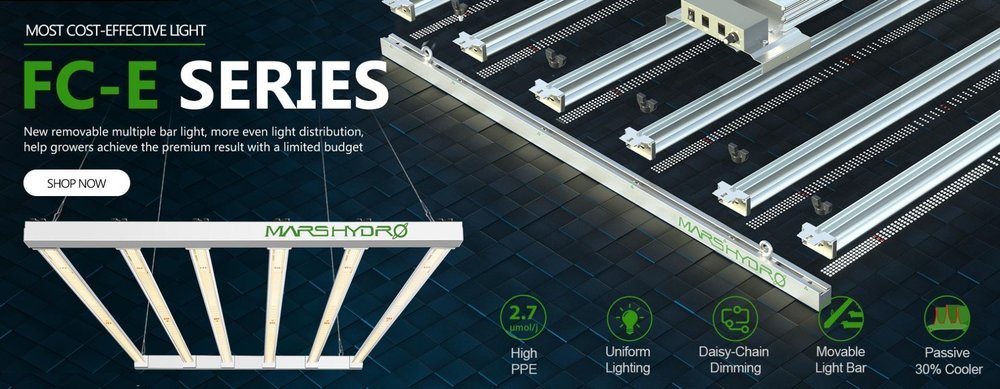 Mars_Hydro_FC-E_led_grow_light.jpg