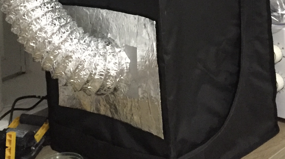 image.thumb.png.edbe0581216f492b25ada63b89df7350.png