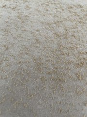 1232E921-0330-45D1-9B86-3B1953181998.jpeg