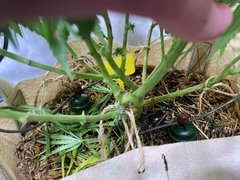 BA3563A2-F38B-4474-A865-B15318912E33.jpeg