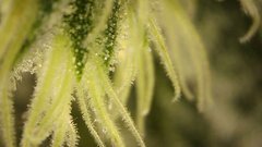 E6586FD9-974C-4229-9B1F-66D19F9C8ED6.jpeg