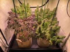 FD0778A8-A995-420E-A168-33EB06FF80A3.jpeg