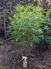 IMG_20210905_160032.jpg