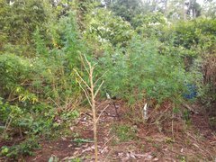 IMG_20210905_170036.jpg