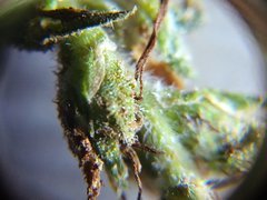 IMG_20210905_234246.jpg