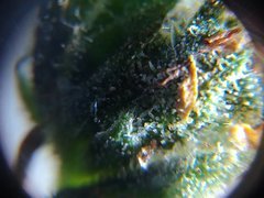 IMG_20210905_234308.jpg
