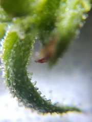 IMG_20210909_074021.jpg