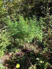 IMG_20210909_090010.jpg