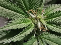 IMG_20210909_173104
