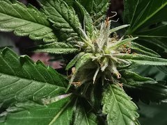IMG_20210910_174113