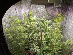IMG_20210910_182607