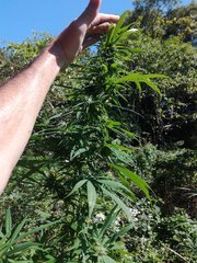 IMG_20210916_102652.jpg