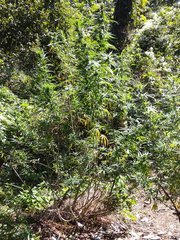IMG_20210916_102722.jpg