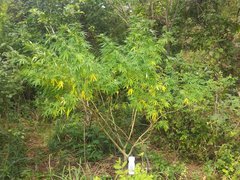 IMG_20210923_110208.jpg