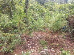 IMG_20210923_110308.jpg
