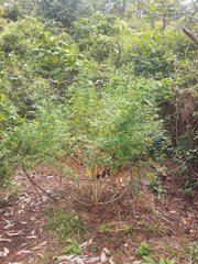 IMG_20210923_110314.jpg