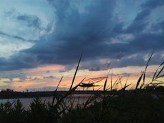 IMG_20210923_175732.jpg